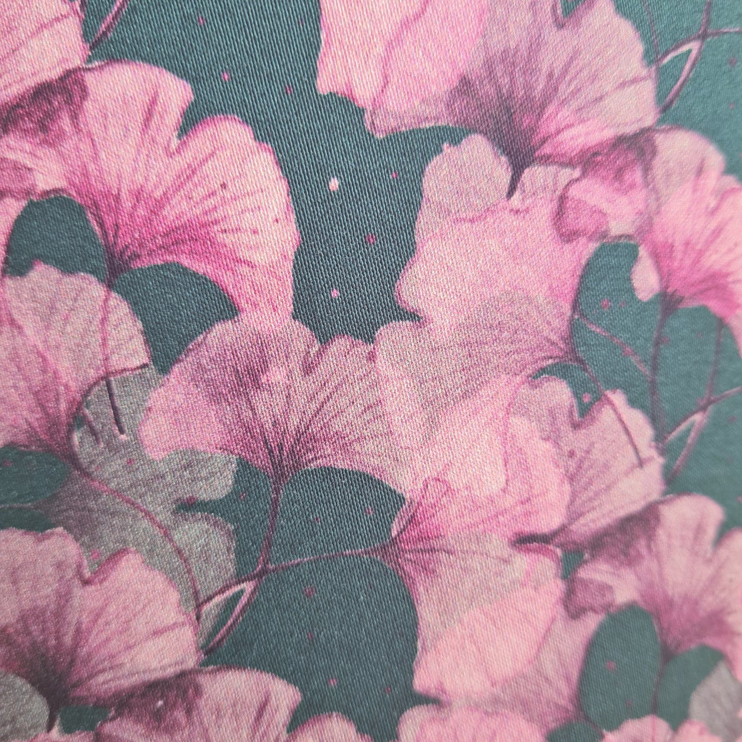 Ginkgo